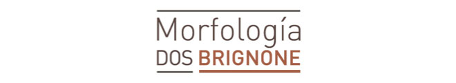 Morfología 2 | Cátedra Brignone