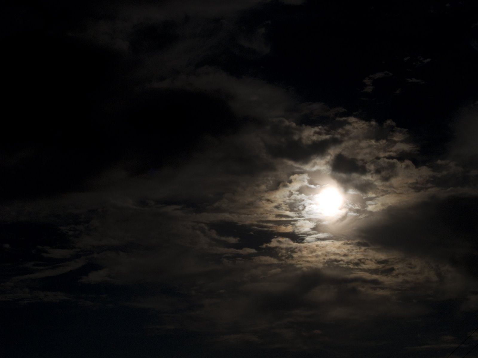 [P7240343.JPG]