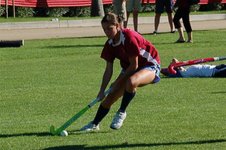 [festival+Pulse.jpg]