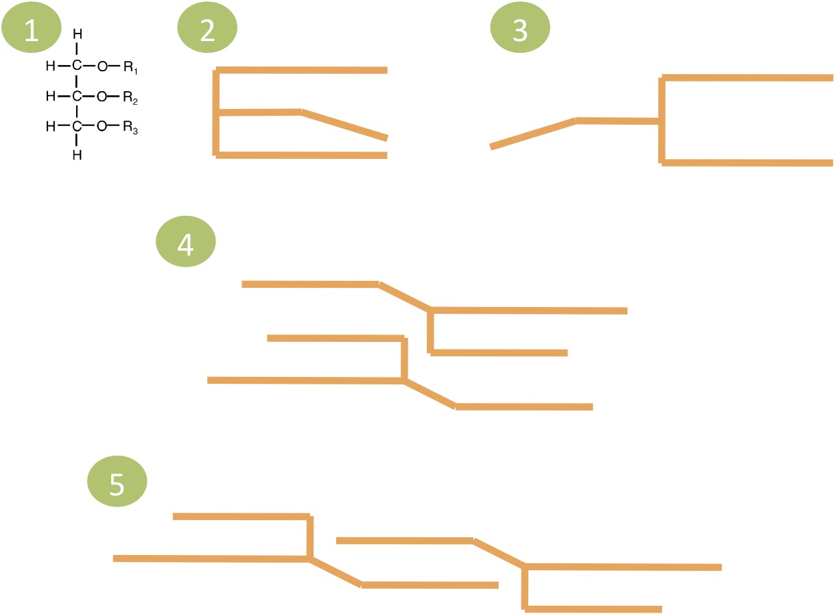 Dissertation Length Literature Review