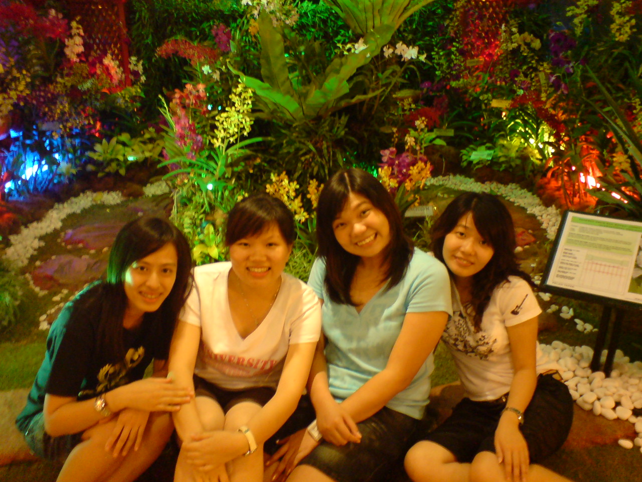 [DSC01703.JPG]