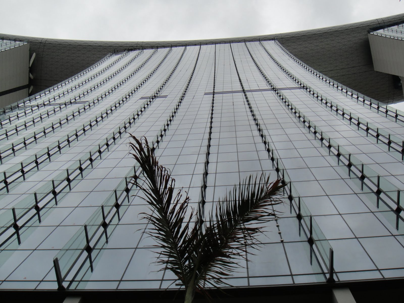 Cloves Essence: May 2010