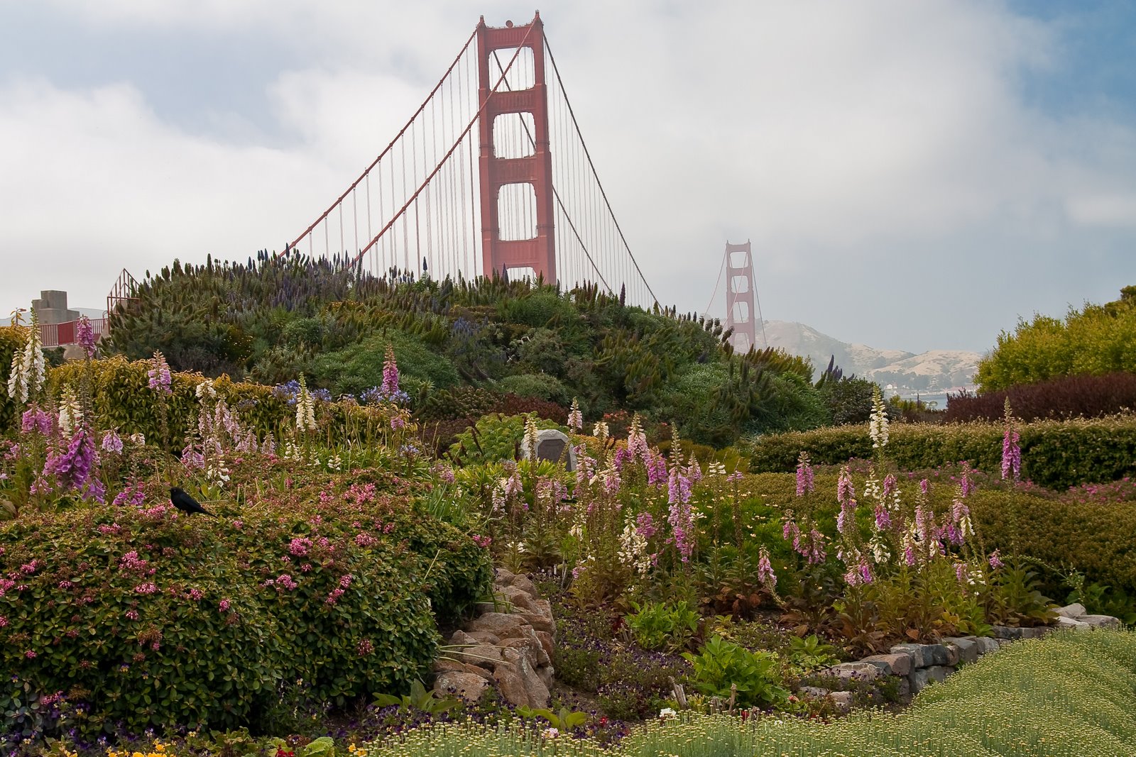 [San+Fran+(41+of+51).jpg]