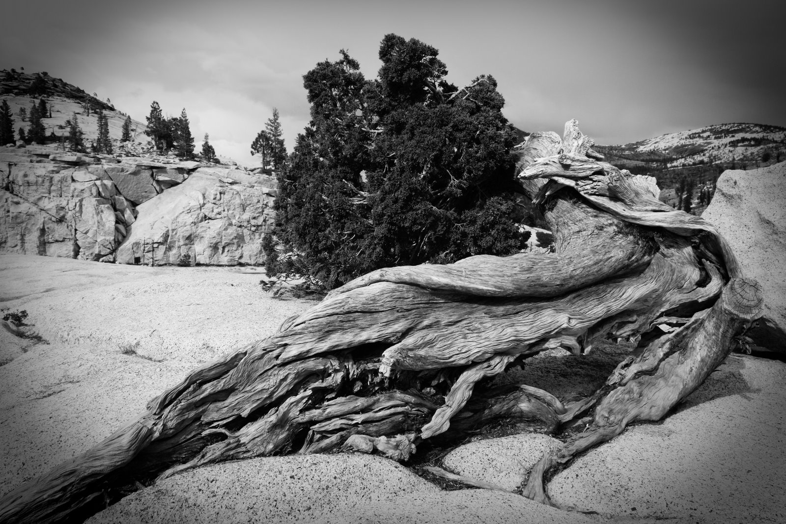 [Yosemite+(94+of+113).jpg]