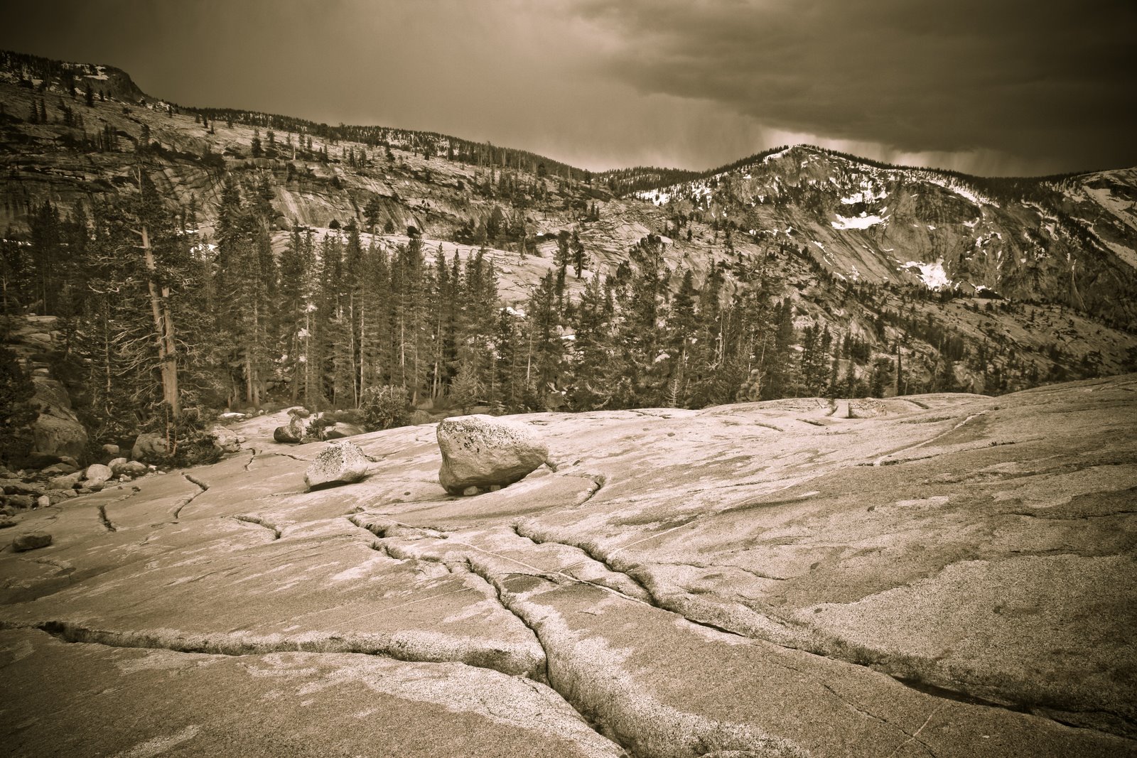 [Yosemite+(100+of+113).jpg]