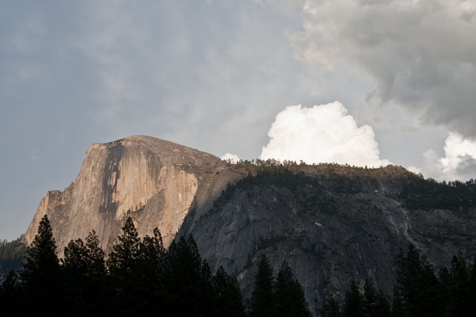 [Yosemite+(8+of+113).jpg]
