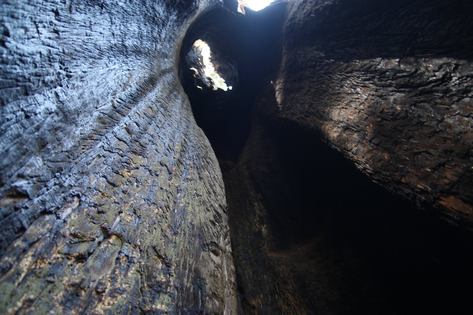 [Yosemite+(81+of+113).jpg]