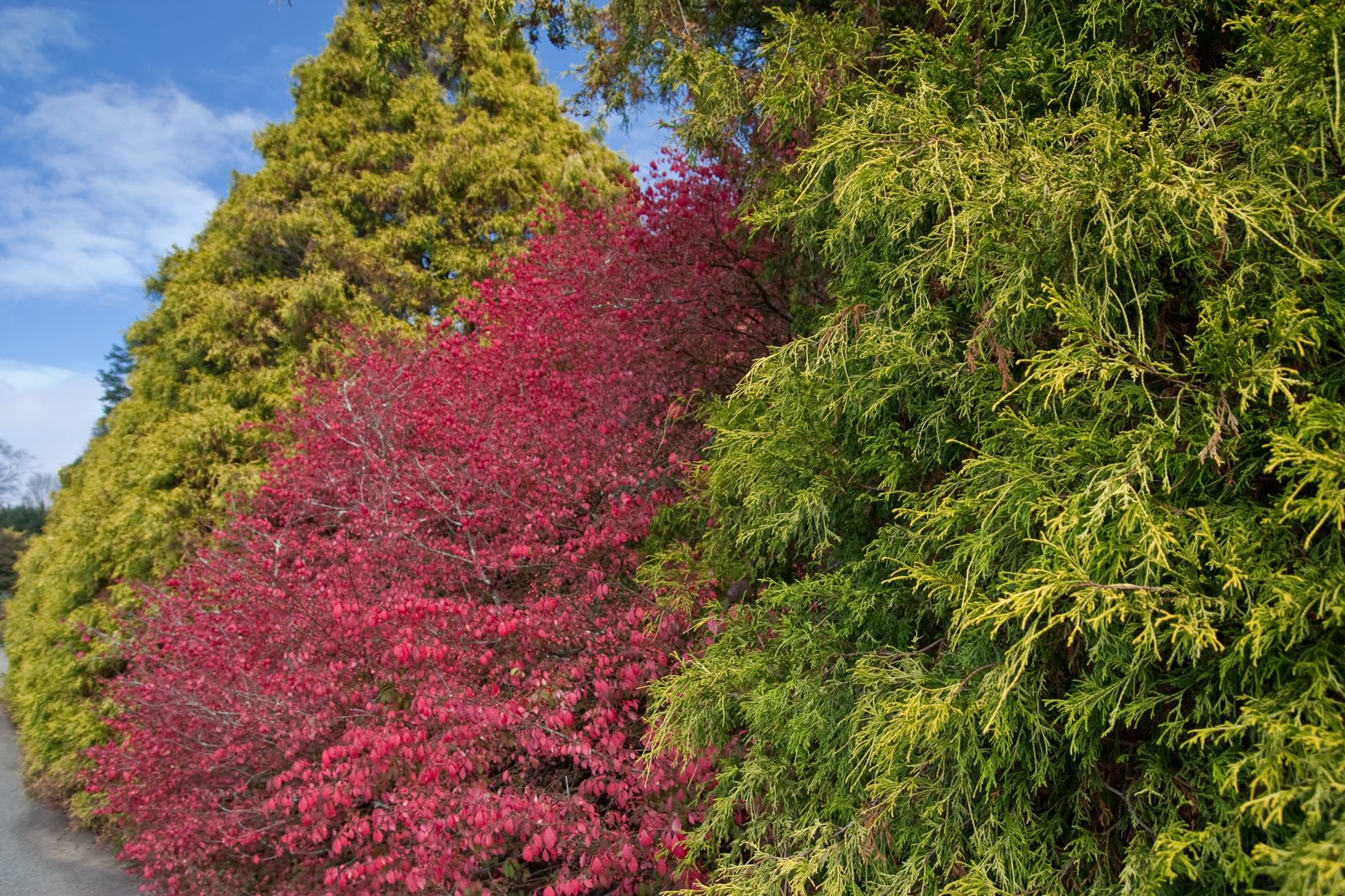 [asheville+biltmore-5761.jpg]