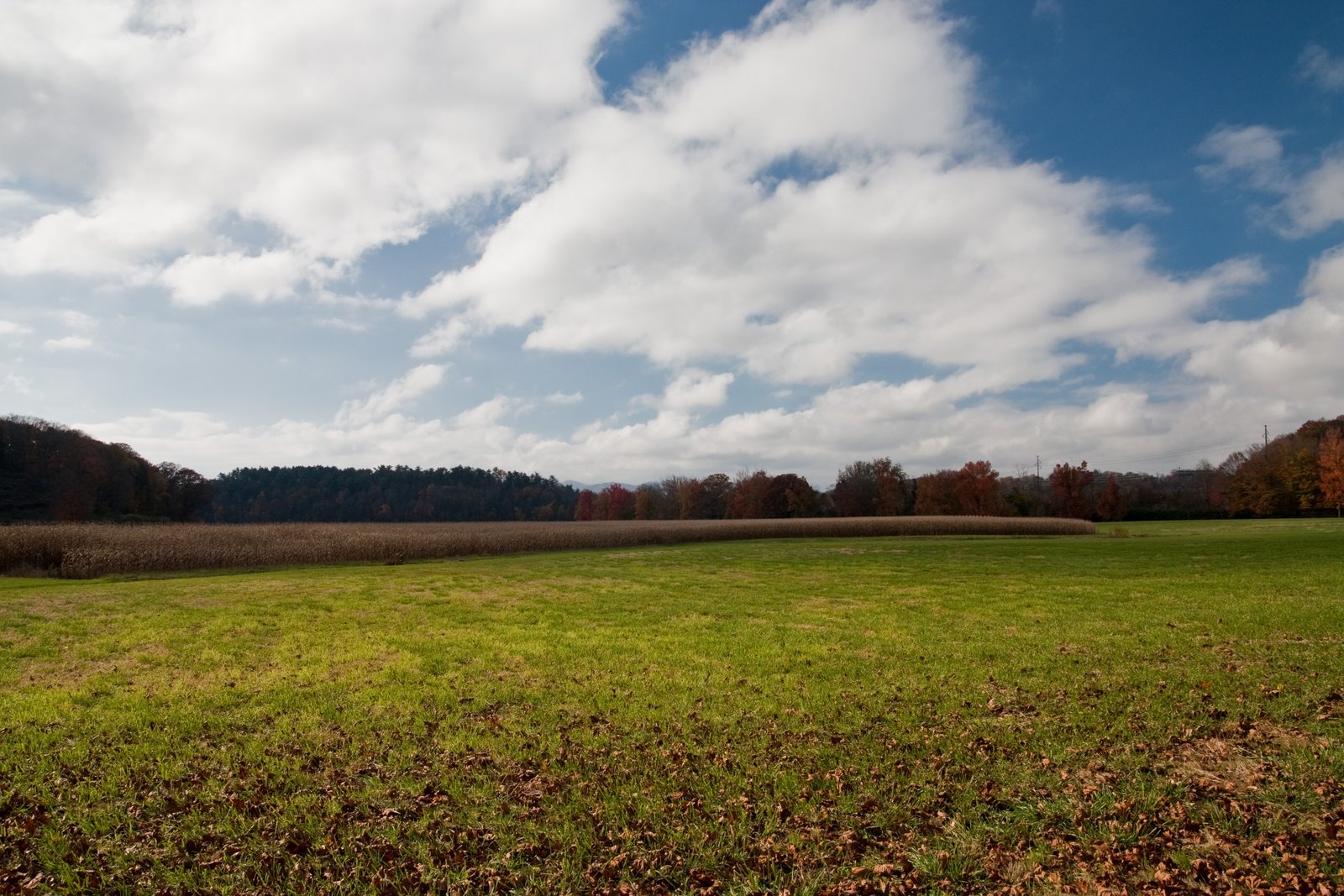 [asheville+biltmore-5777.jpg]