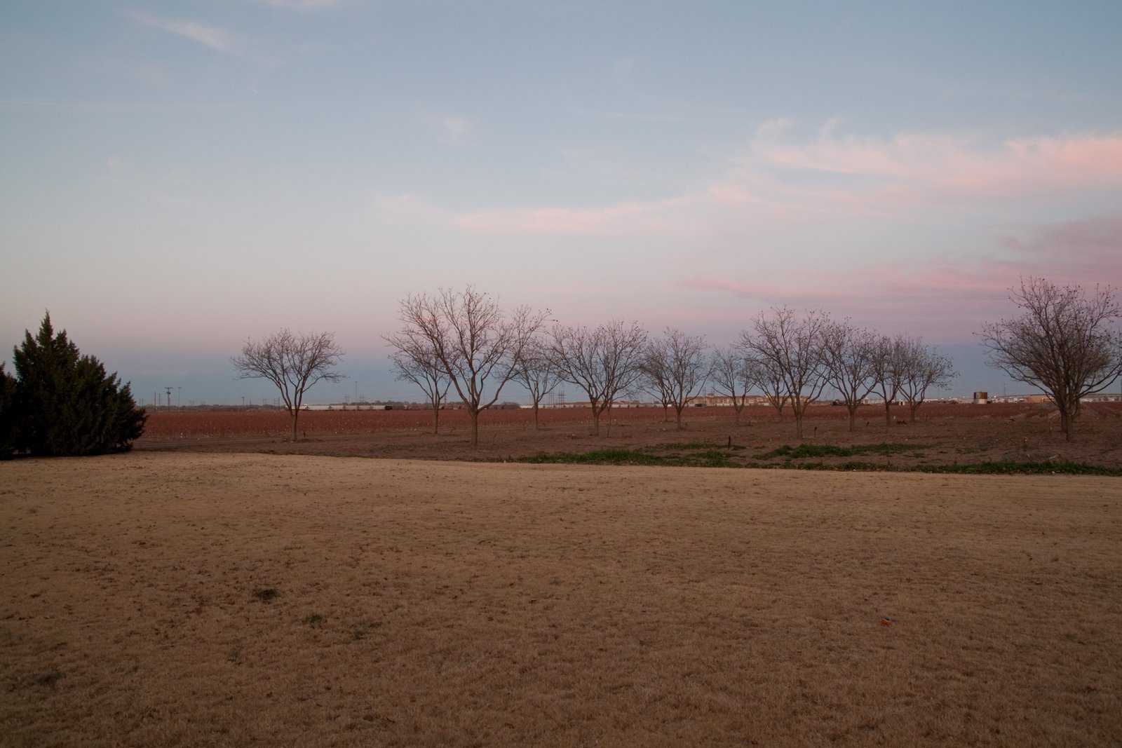 [Thxgiving+in+Lubbock+-2009-12-06-6610.jpg]