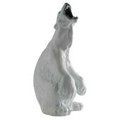 [Polar.jpg]
