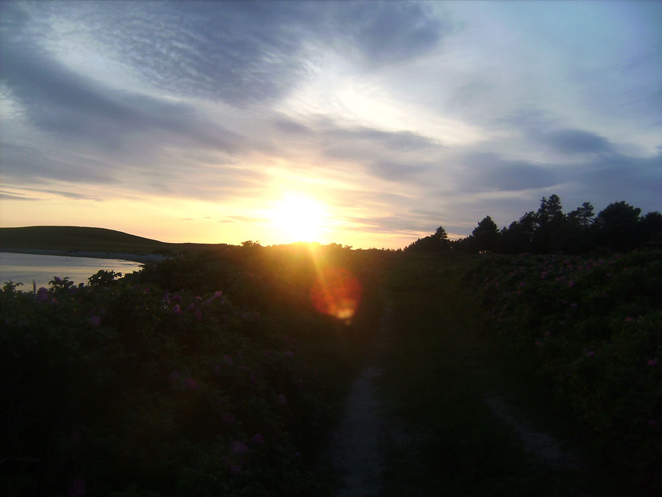 [solnedgang.JPG]