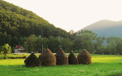 Haystacks!