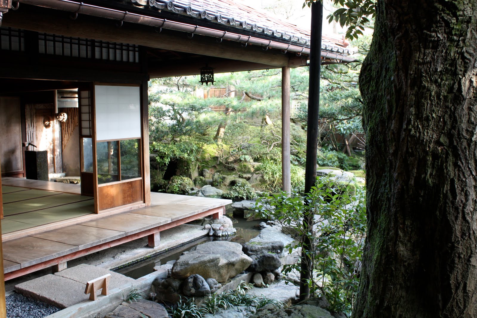 Afternoon Tea Total Japanese Tea The Bitter & The Sweet