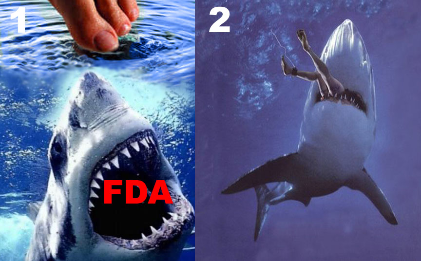 [sharkandtoe.jpg]