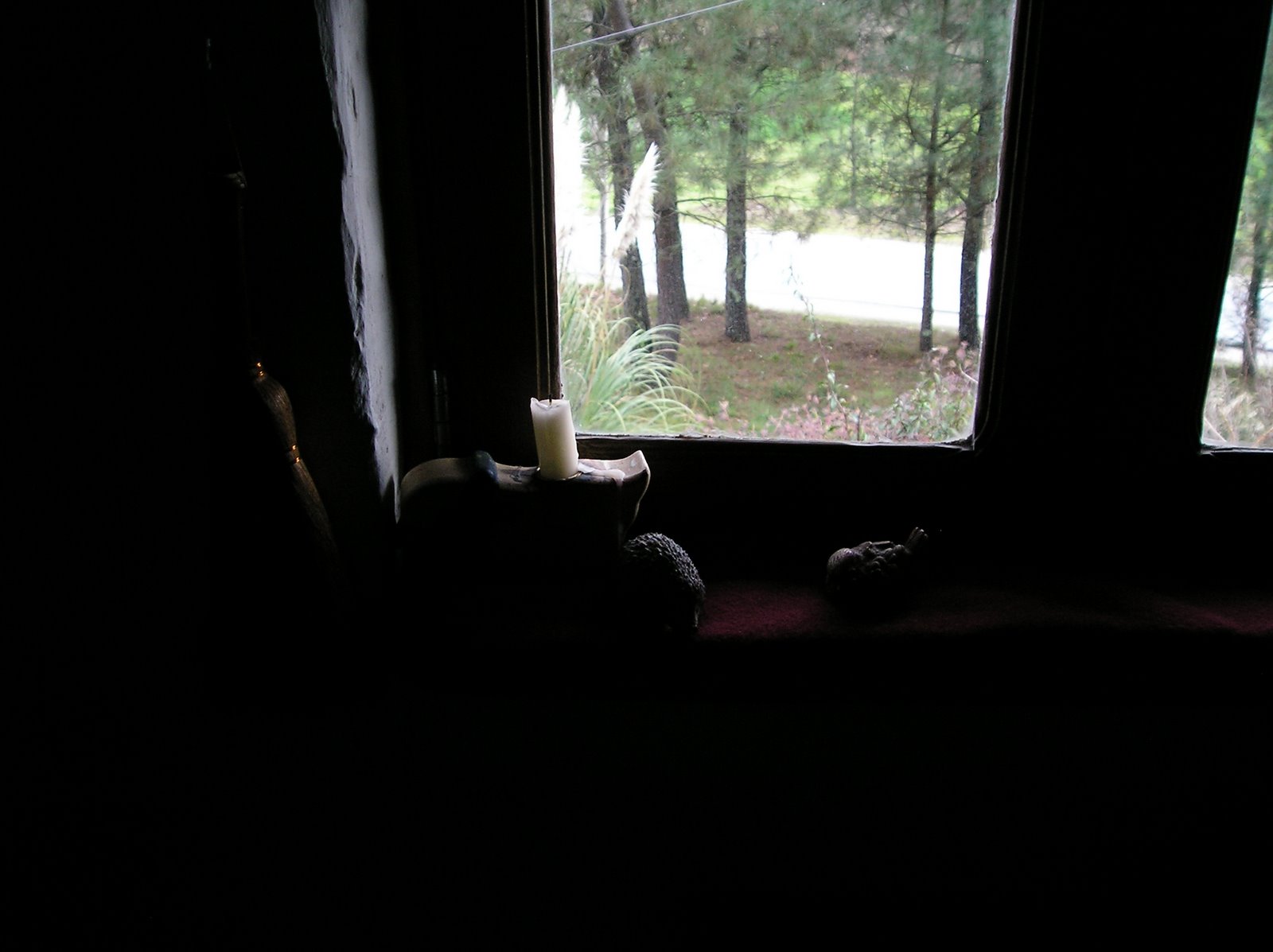 [P1010091.JPG]