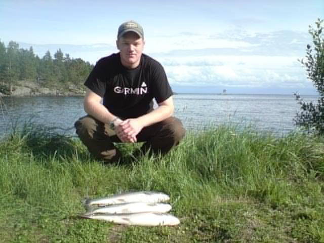 [bm-image-764303.jpe]