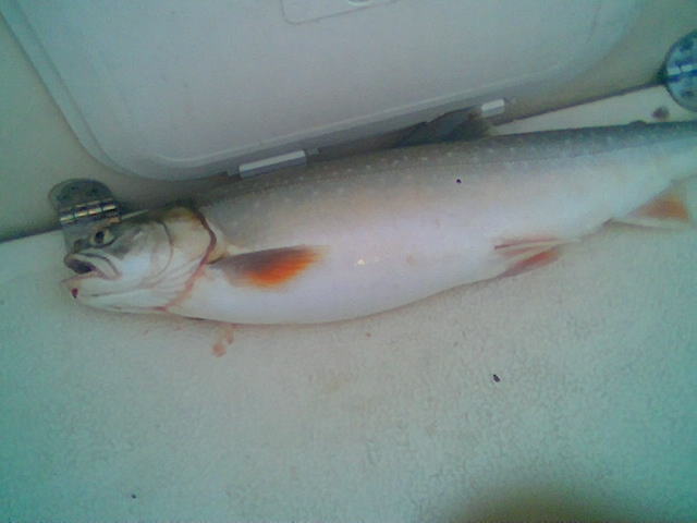 [bm-image-752696.jpe]