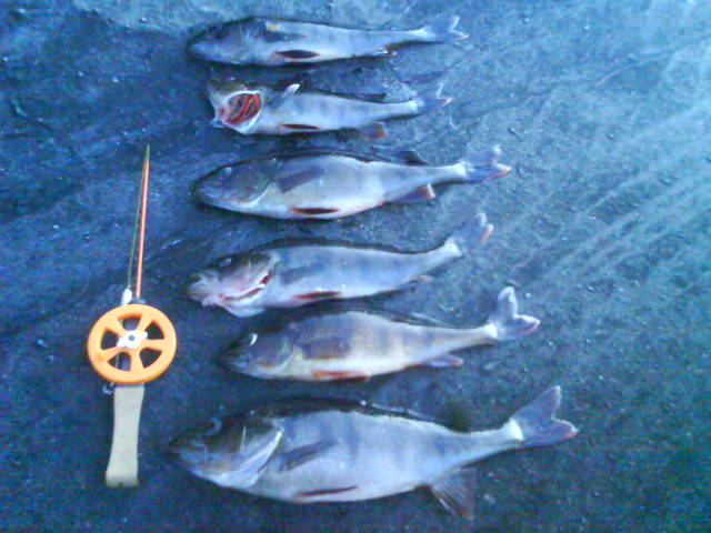 [bm-image-749968.jpe]