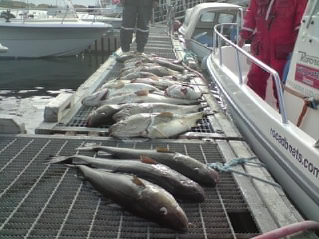 [bm-image-737419.jpe]