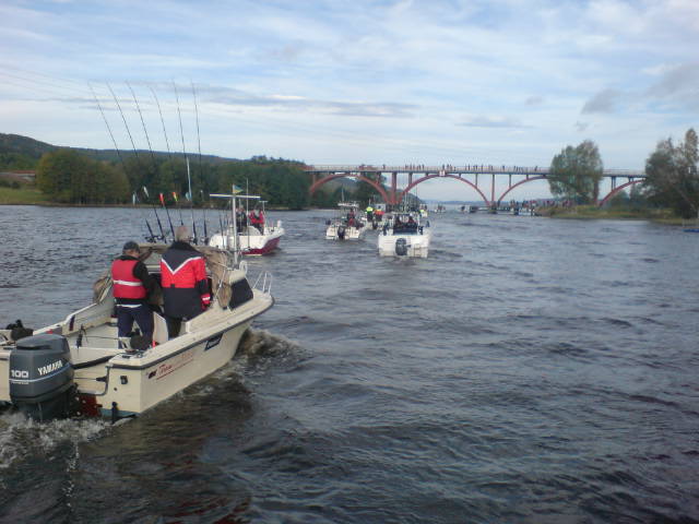 [DSC08081-703700.jpeg]