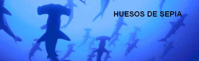 Huesos de Sepia