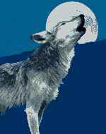 farkas a holdra üvölt
