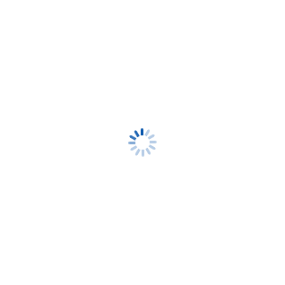 [loading.gif]