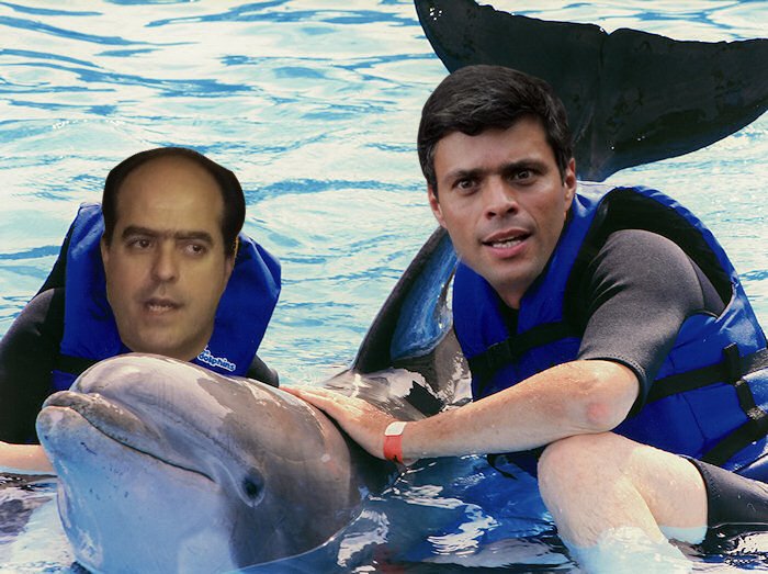 [delfines.jpg]