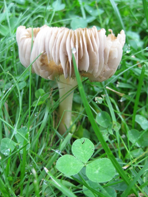 [IMG_0752.JPG]