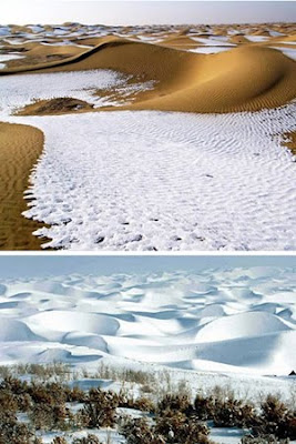 fascinating deserts