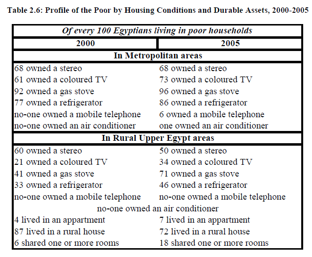 Tracking the Economy Evolution of Household Durables in Egypt
