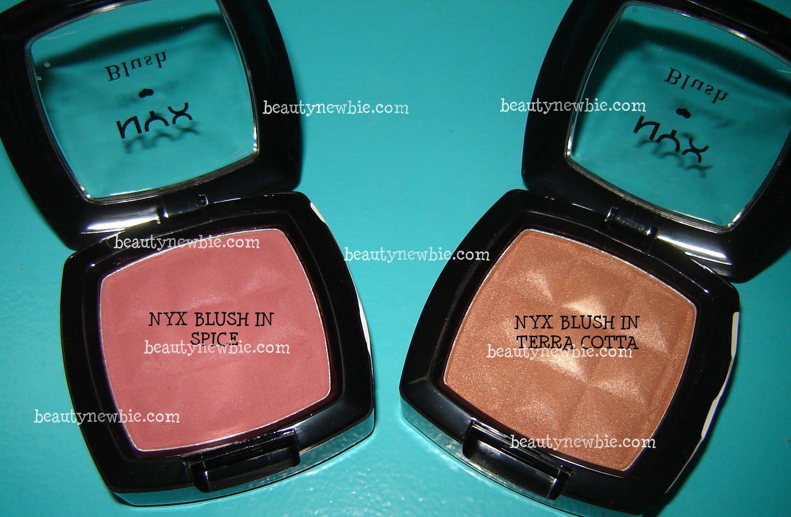 Nyx Spice Blush