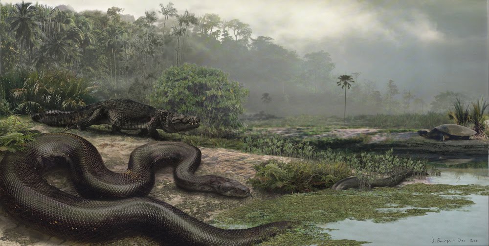 Gambar Dihasilkan Oleh Jason Bourque Universiti Florida Gambar Dihasilkan Oleh Jason Bourque Universiti Florida