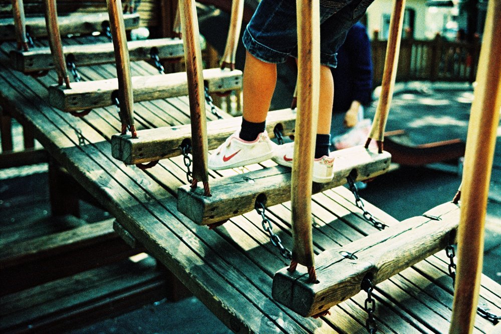 [F1000037b.jpg]