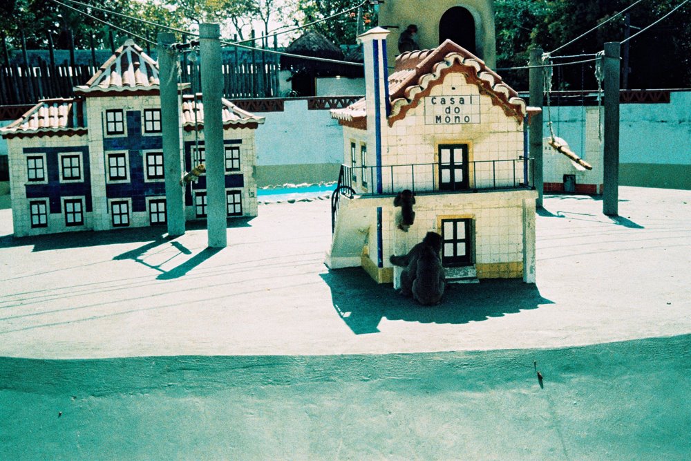 [F1000007b.jpg]