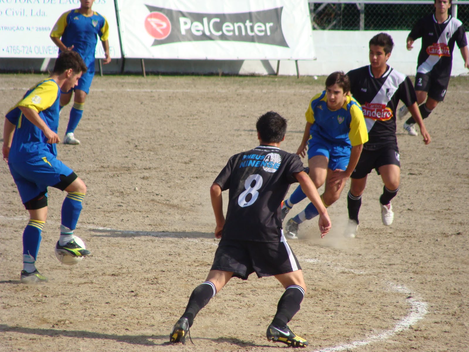 [DSC02446.JPG]