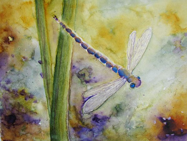 dragonfly wings. glazed the dragonfly wings