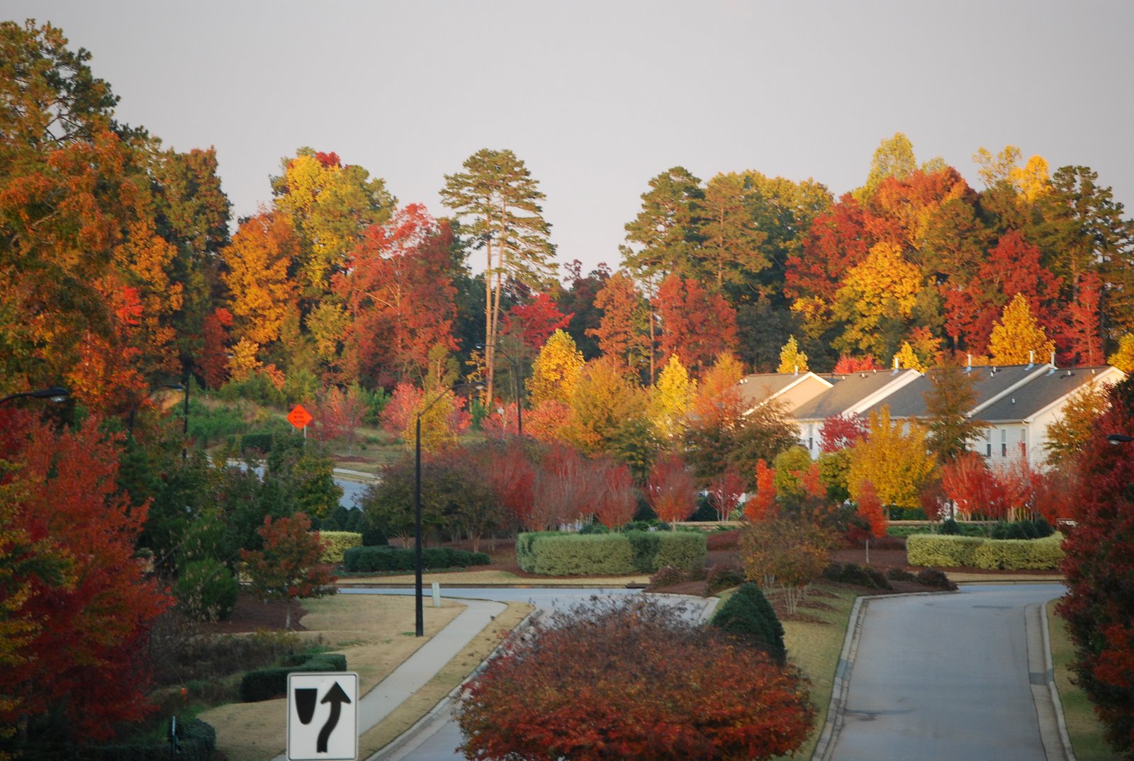 [DSC_0192.JPG]