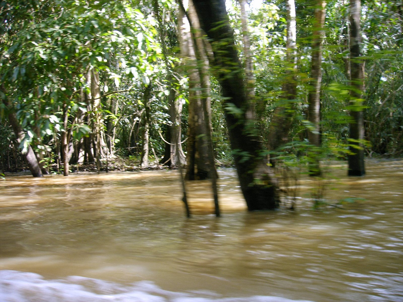 [IMAG0085.JPG]