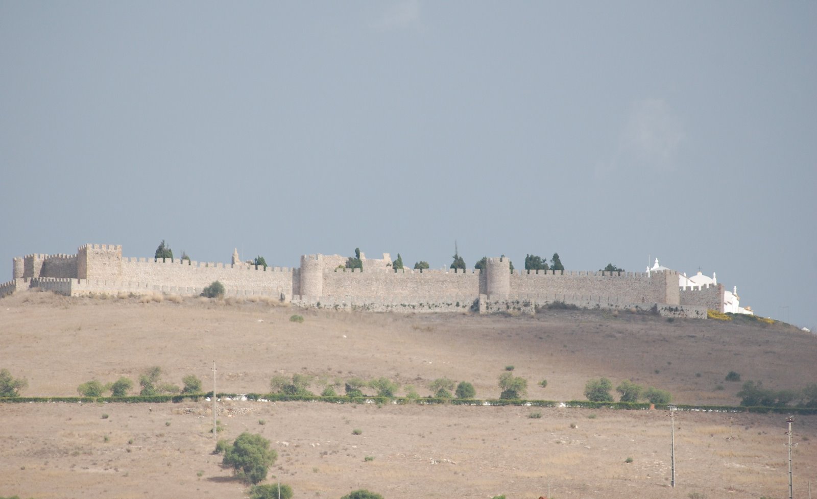 [DSC_0115.JPG]