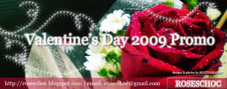 Valentine's Day 2009 Promotion
