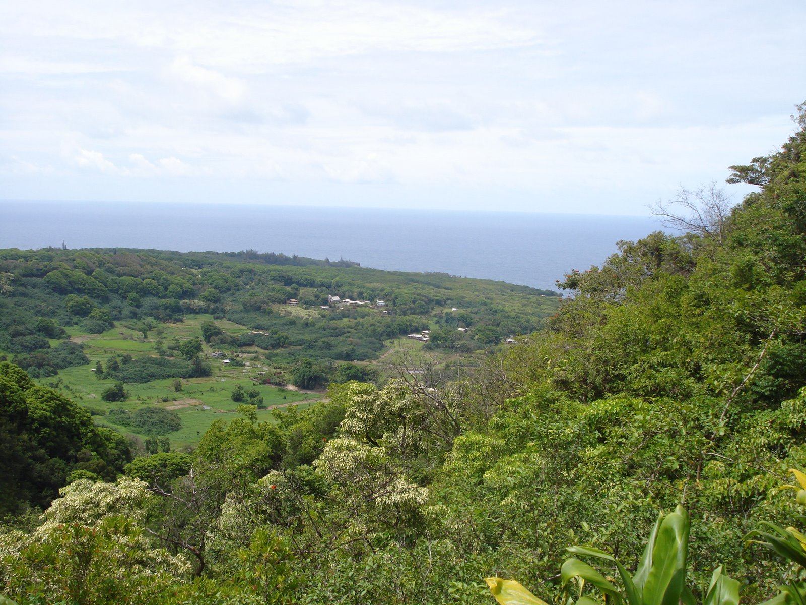 [DSC02458.JPG]