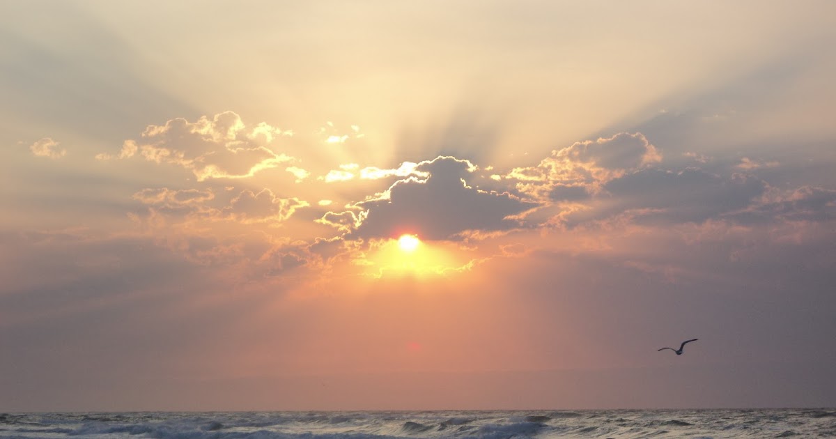 113: Happy New Year!!