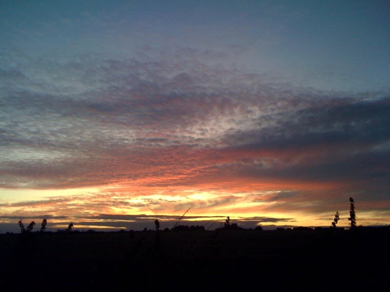 [kildare+sunset.bmp]
