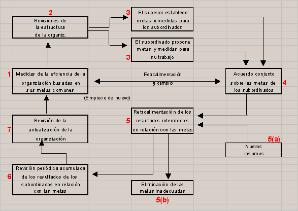 Ciclo de la Gerencia por Objetivo