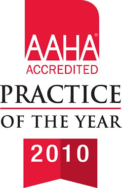 AAHA 2010 Accredited Practice of the Year