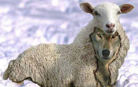 [politicieni-whiteman's-blog.jpg]