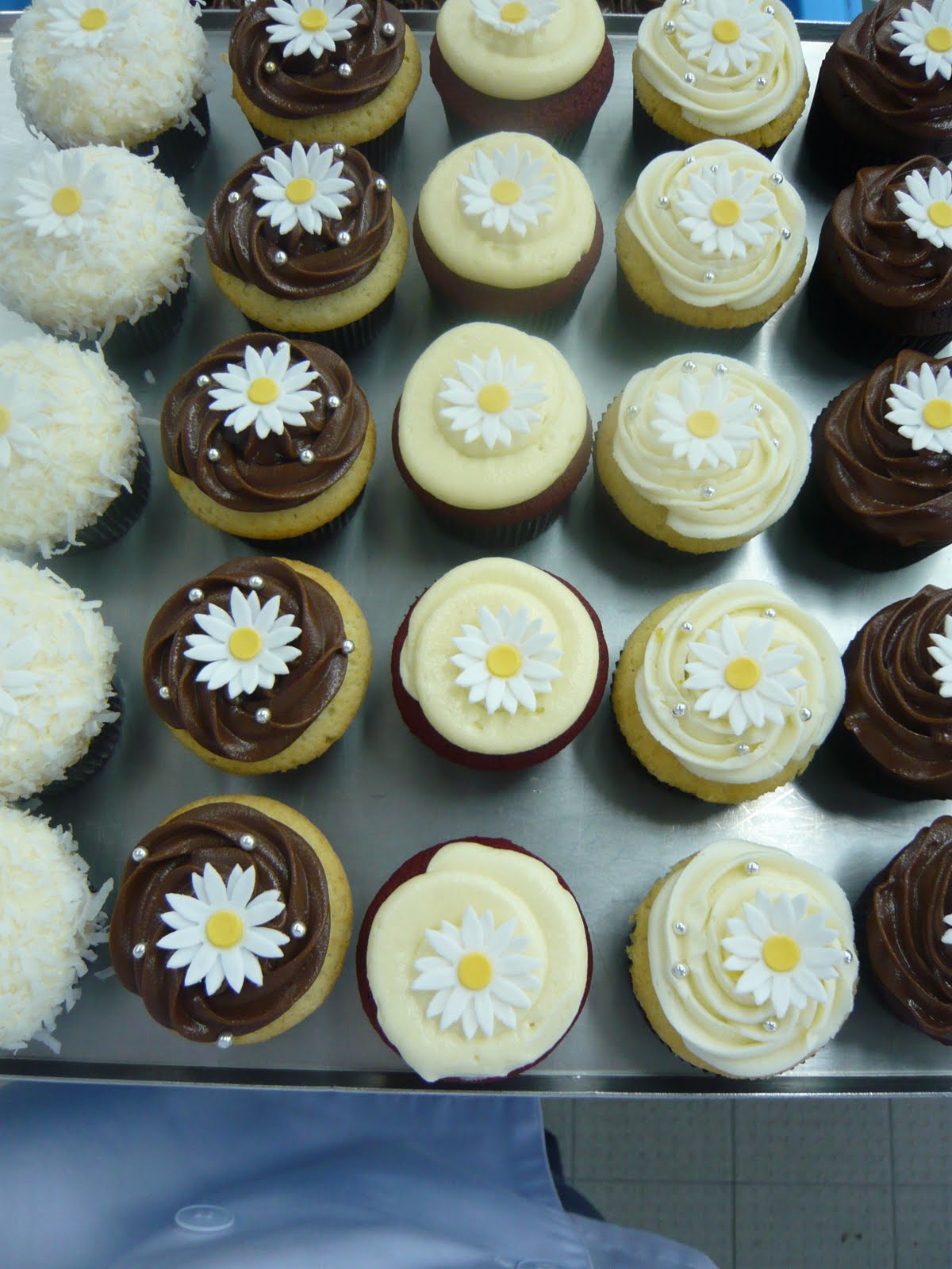 Sift Daisy cupcakes