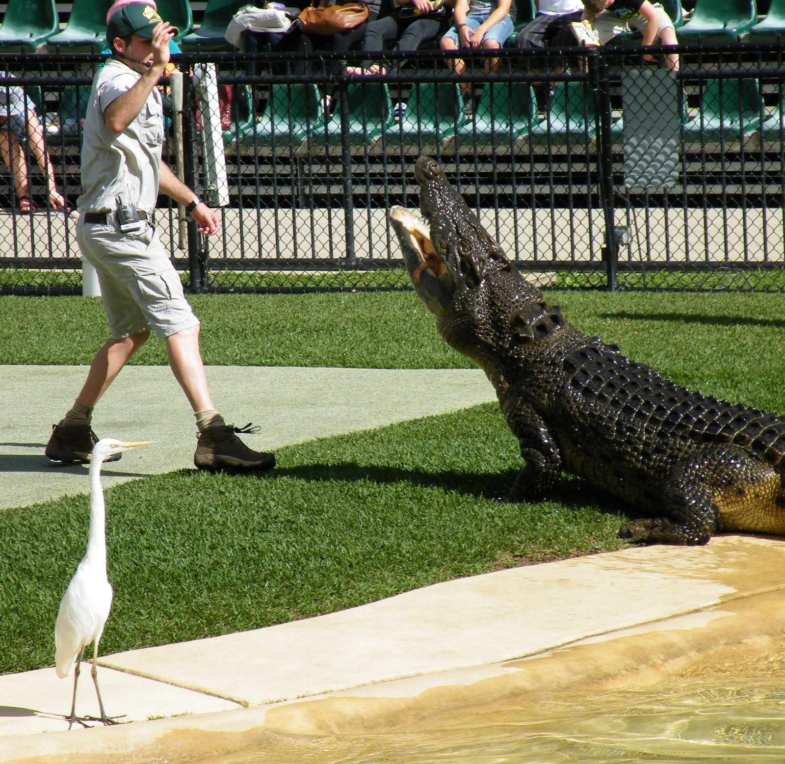 Ravensdale Australia Zoo.